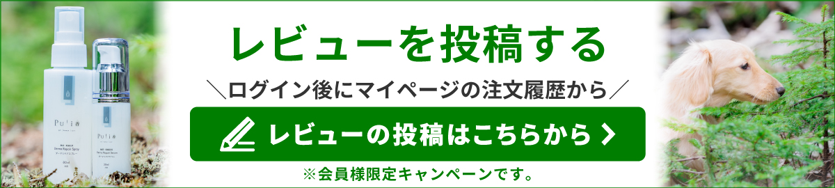 PC用画像