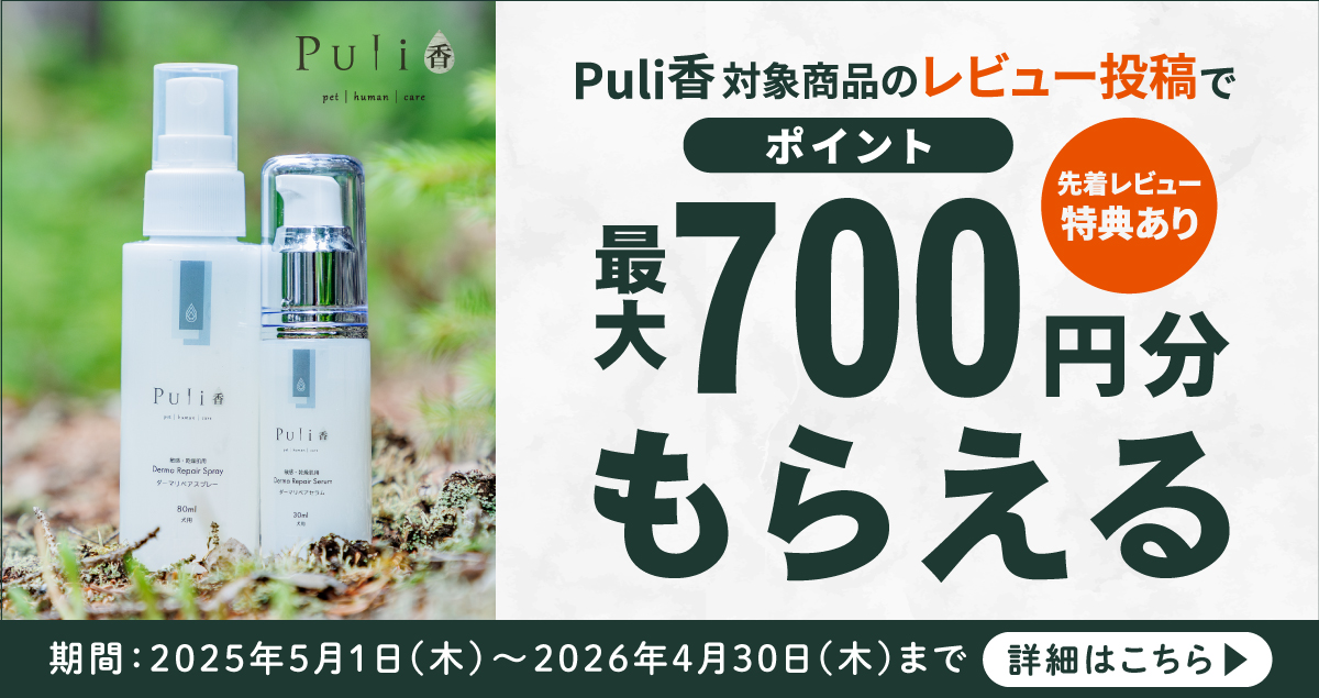 PC用画像