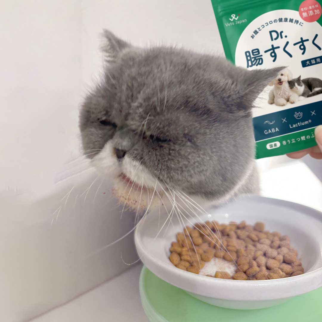 応募写真サンプル1