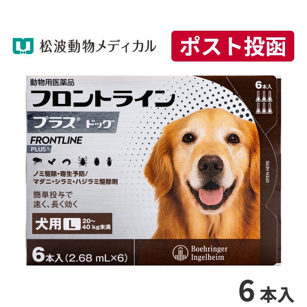 犬用ゼリー風おやつ うるワン 15g×20本 (水分補給補助) | ベッツ