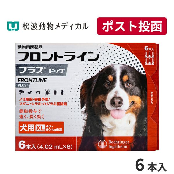 犬用ゼリー風おやつ うるワン 15g×20本 (水分補給補助) | ベッツ