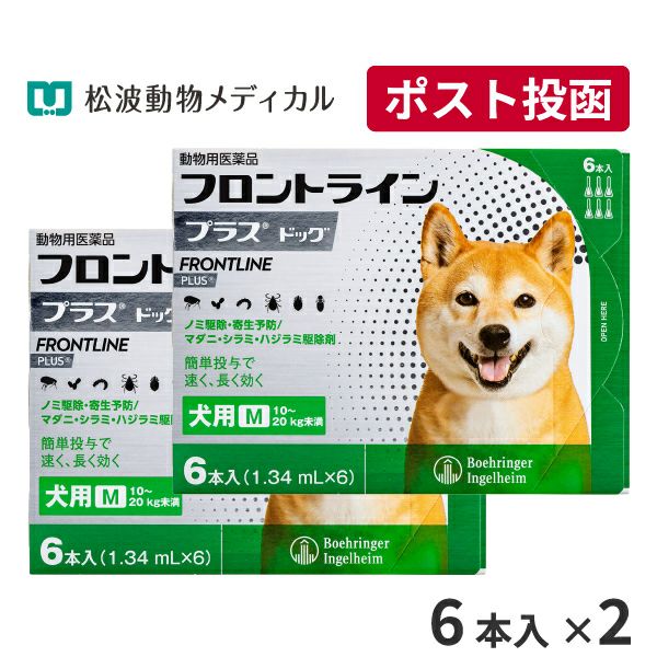 【うるワン 15g×20本入×６箱】【犬用ゼリー風おやつ】【水分補給 犬用ゼリー風おやつ うるワン 15g×20本 (水分補給補助) | ベッツ