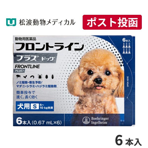 犬用ゼリー風おやつ うるワン 15g×20本 (水分補給補助) | ベッツ