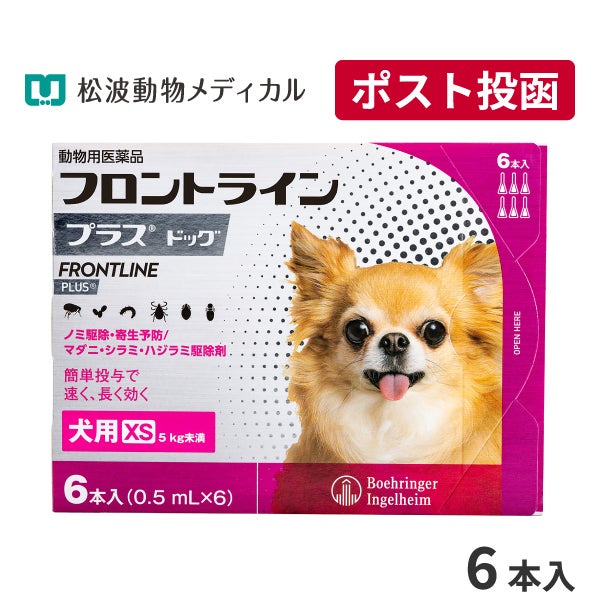 犬用ゼリー風おやつ うるワン 15g×20本 (水分補給補助) | ベッツ
